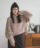 トリコロールヤーンハイネックニット