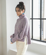 トリコロールヤーンハイネックニット