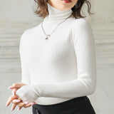 【メール便】滑らか素材タートルニットトップス