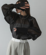 【メール便】箔オーガンジーブラウス