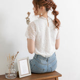 【メール便】総レーストップス