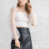 【メール便】フロッキードットチュールブラウス