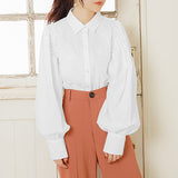 【メール便】刺繍入りボリュームスリーブブラウス