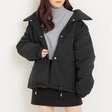 カラーダウンジャケット