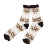 【メール便】キャットシースルーソックス ねこ 猫 靴下