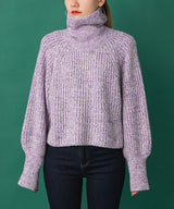 トリコロールヤーンハイネックニット