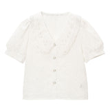【メール便】パールレース襟シアーブラウス