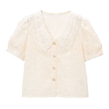 【メール便】パールレース襟シアーブラウス