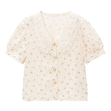 【メール便】パールレース襟シアーブラウス