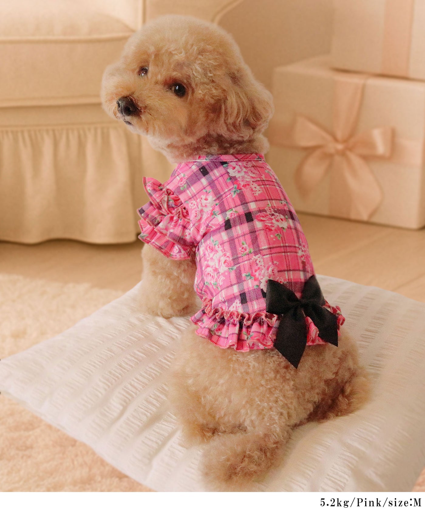 ＊未開封＊DOG柄 ワンポイント Tシャツ&ロングパンツ セット ピンク チワワ 半袖Tシャツ チワワ ワンポイント刺繍 dog | アニマルモチーフ