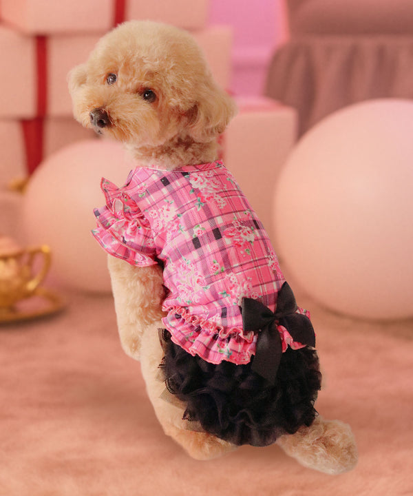 犬服コレクション