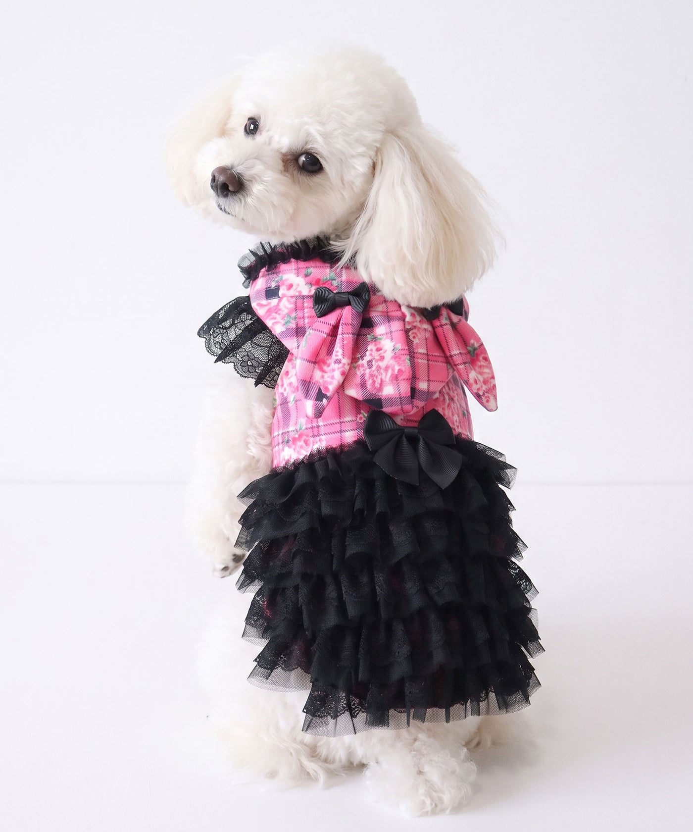 犬服 フリルパーカー ハンドメイド ご確認 犬服 フリルパーカー