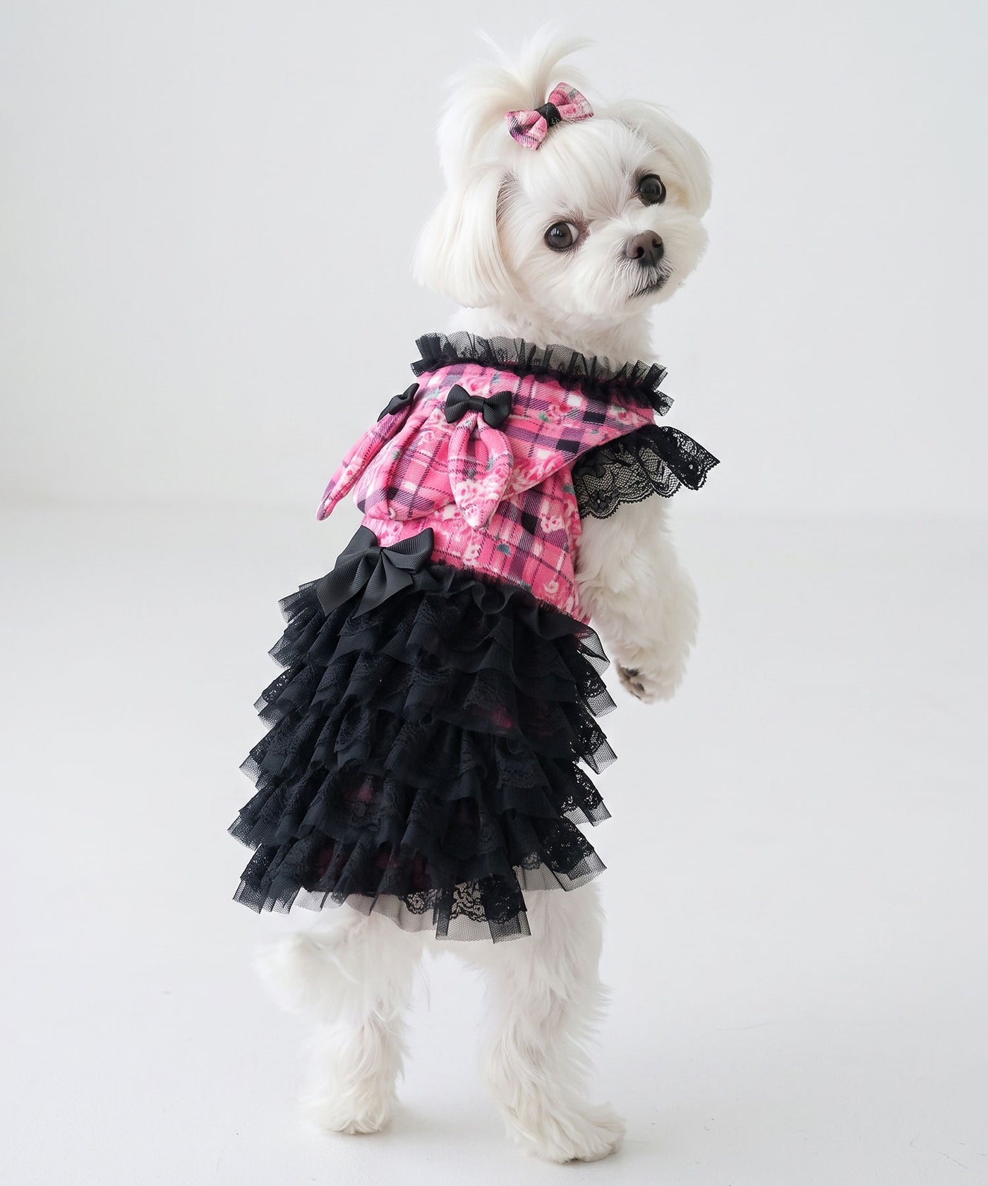 メール便】うさ耳パーカーラブリーフリフリレースギャル犬服