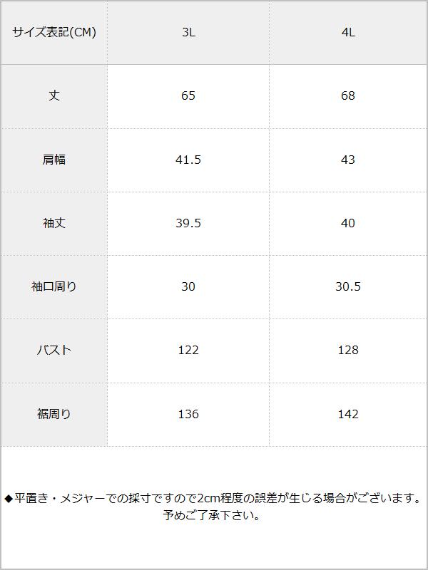 大きいサイズ3L4L選べるレース×ピンタックプチハイブラウス / サイズ表