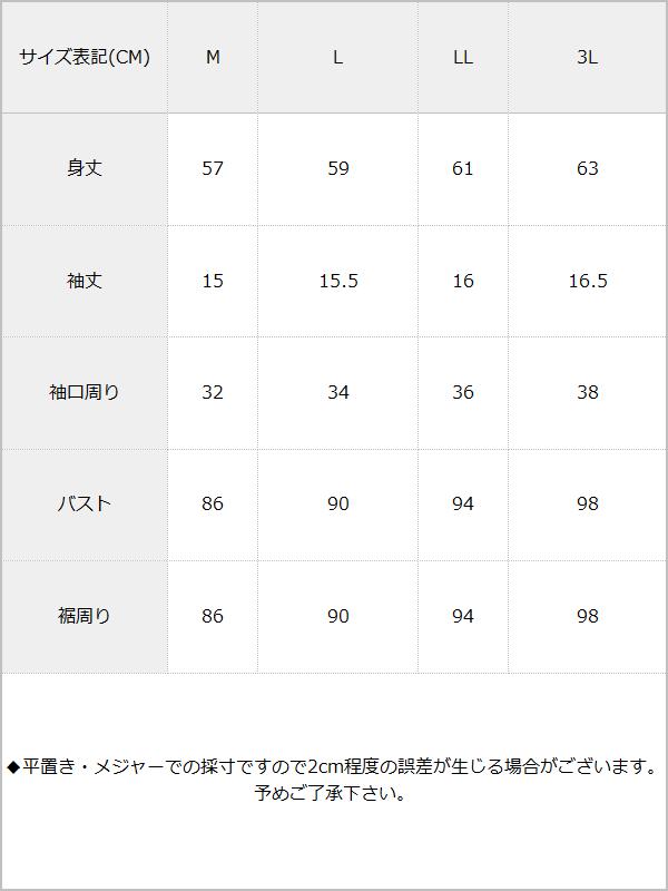 【メール便】ワンショルダー総レーストップス / サイズ表