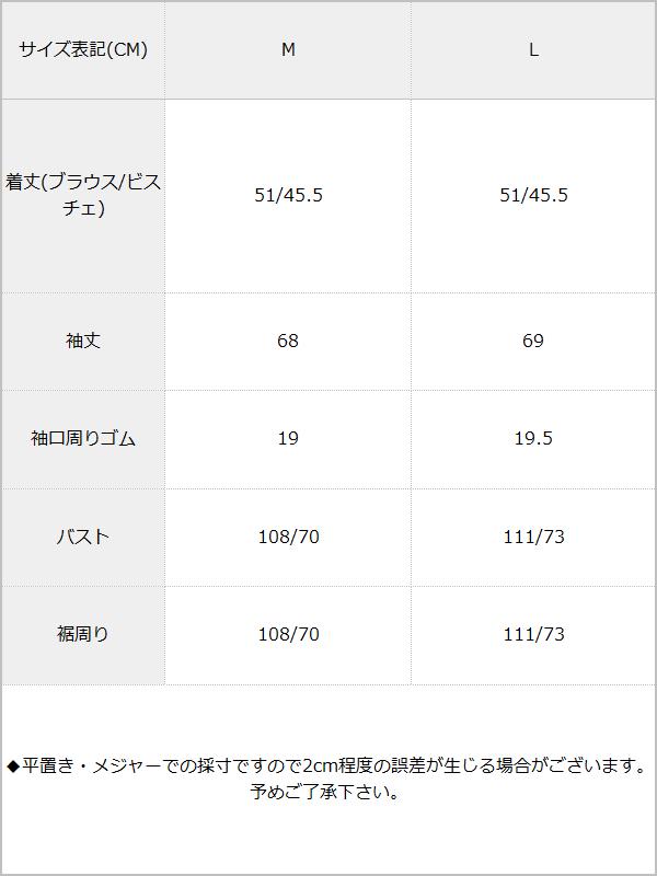 レースブラウスビスチェセット / サイズ表