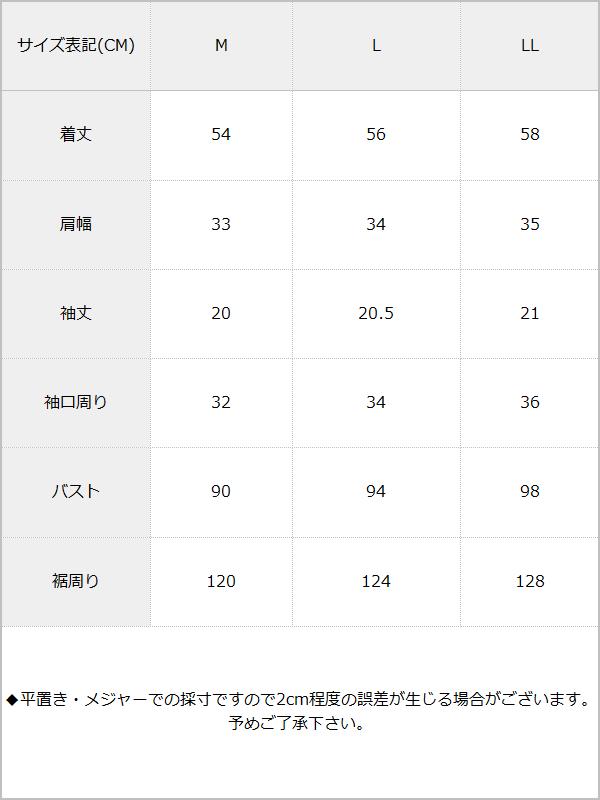 バックリボンカシュクール半袖ブラウス / サイズ表