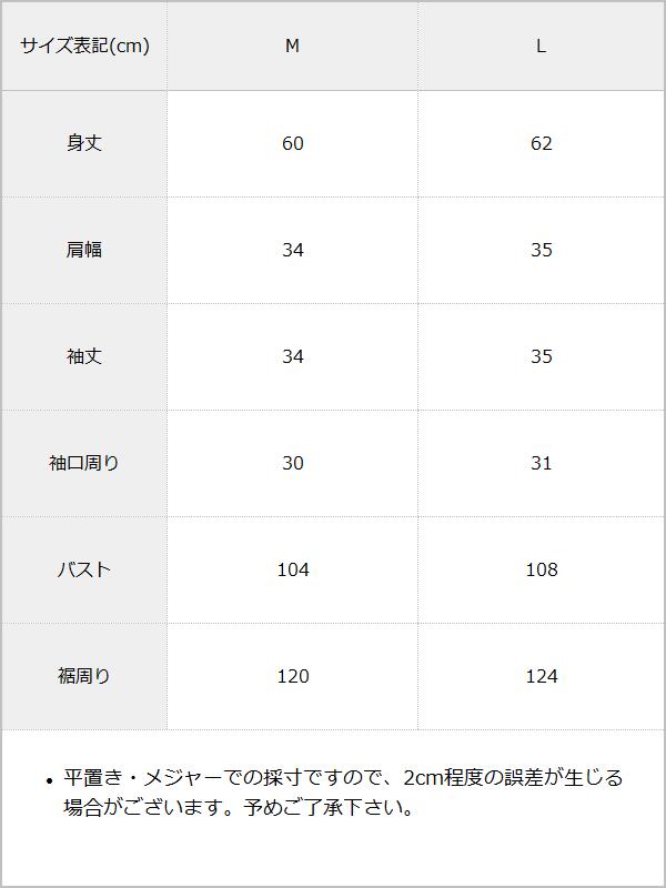 【メール便】レースビッグ衿ブラウス / サイズ表