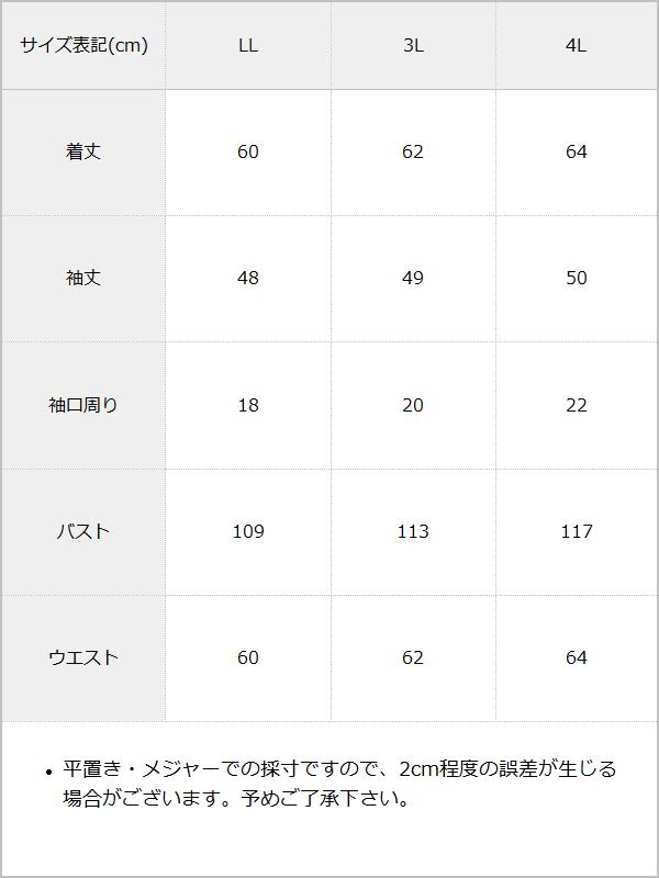 【大きいサイズ】フラワーレースオフショルブラウス / サイズ表