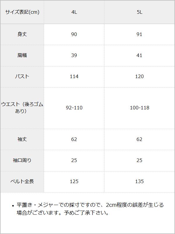袖レース切替ベルトワンピース / サイズ表