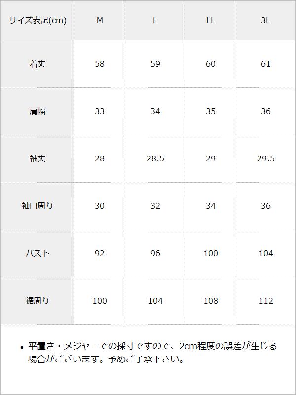 レースフリルたっぷり上品ボウタイリボンブラウス