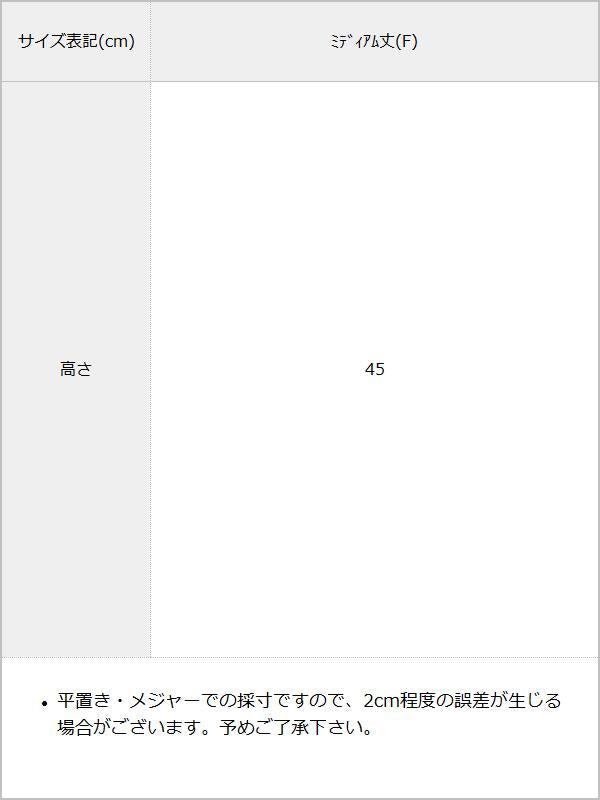 透かし編みシアーソックス / サイズ表