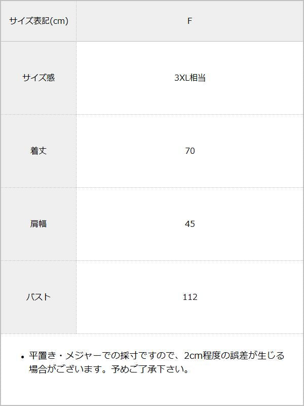 【STEPUP対象】【送料無料】ビッグシルエットキラキラストーンTシャツ 【オーバーサイズ】【ロング丈】 / サイズ表