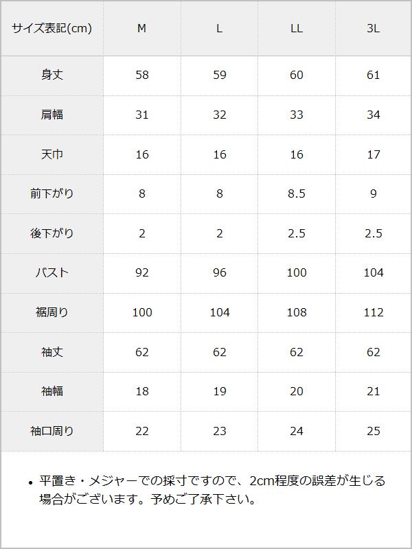 【予約　11/1発送】角襟クモレースチェーンブラウス