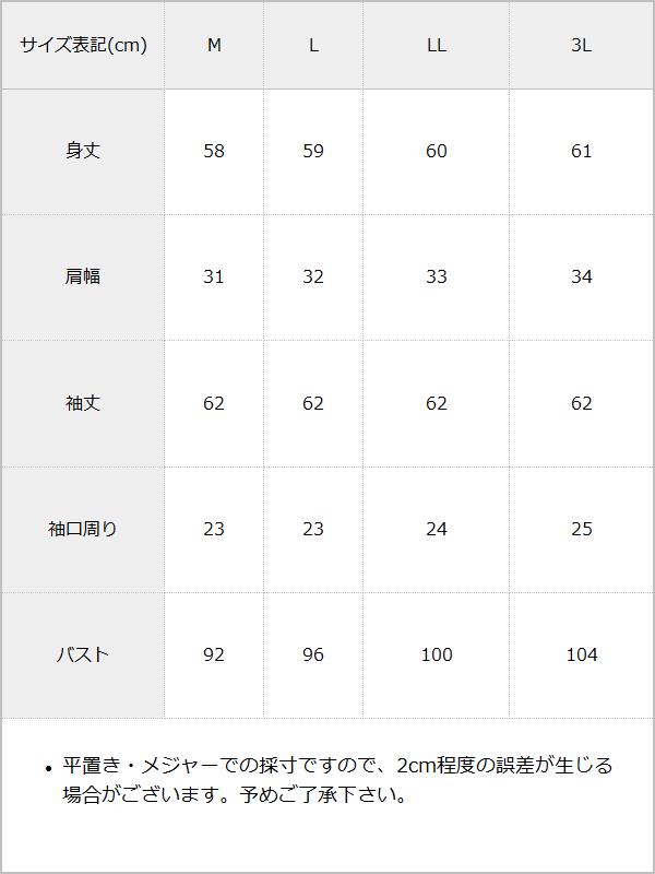 レースアップVヨークフリルブラウス