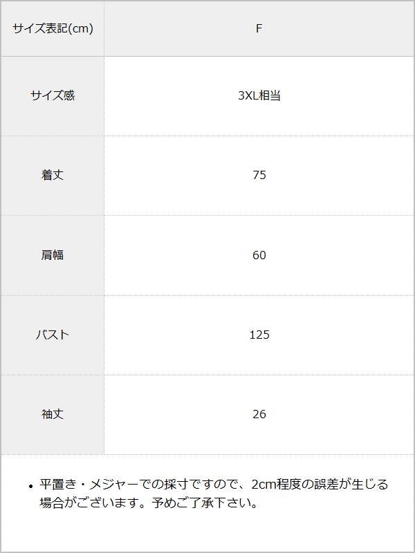 ビッグシルエットバック刺繍スエードTシャツ 【オーバーサイズ】【ロング丈】 / サイズ表