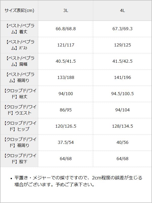 軽やかな着心地楽ちんスーツセットアップ【3L/4L】【大きいサイズ】