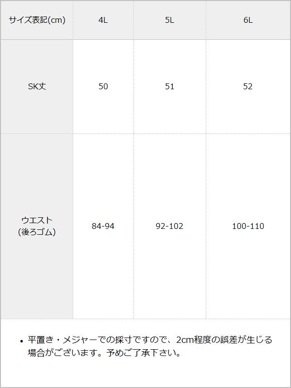 【予約　11/14発送】ハシゴレースティアードスカート