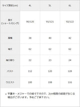 【予約　11/27発送】【4L~6L】レースフリルクラシカルチェックワンピース