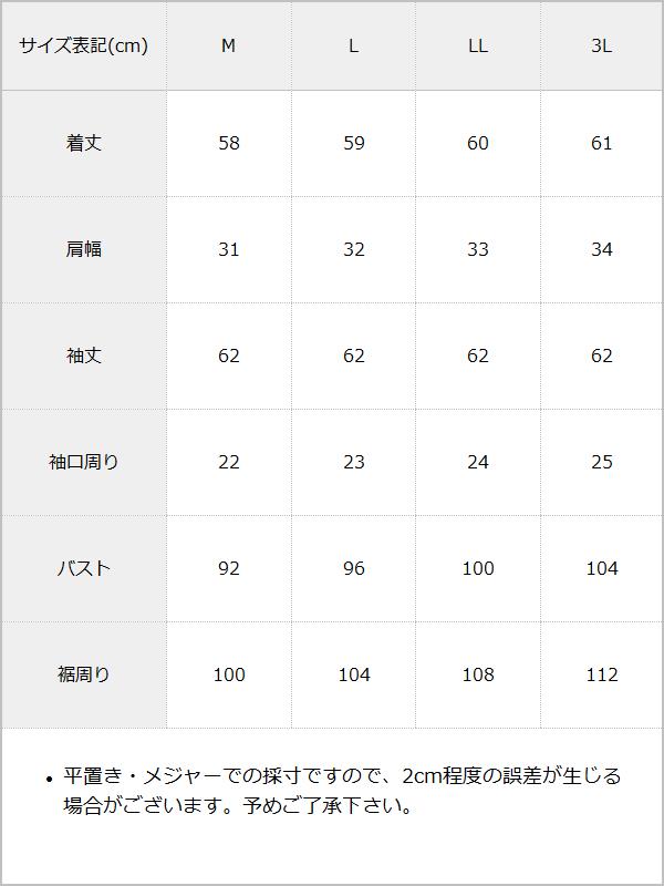 【予約　2/6発送】角襟クモレーススタッズブラウス