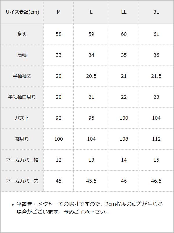 【予約　5/15発送】猫耳チェックフリルクモレースパンクショートトップス