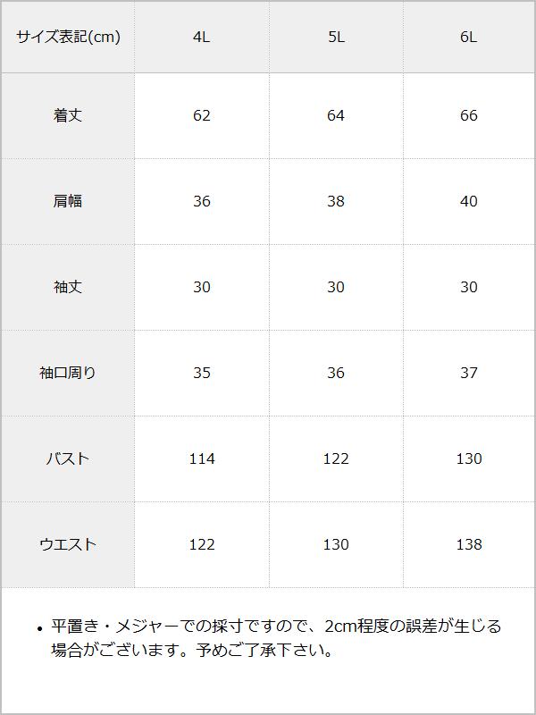 十字架クモレースセーラーフリルブラウス / サイズ表
