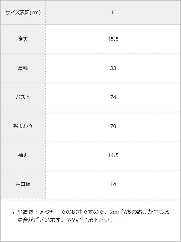 ロゴビジュー半袖カットソー