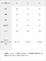 【予約　10/10発送】【4L-6L】ヨークフリルレースアップセットアップ風ドッキングワンピース