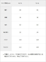 【4L-5L】ショルダーレースフリル丸襟ブラウス