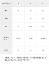 【予約　6/11発送】大きめリボンフリルレースチョーカーブラウス