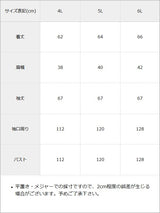 【9/22 10:59まで10％OFF】【予約　9/25発送】フリルはしごレース姫袖ブラウス【SD】