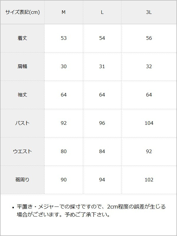 【予約　10/8発送】チョーカーつけ襟バラボタンレースアップ姫袖ギャザーブラウス / サイズ表