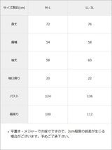 【予約　9/28発送】バックレースアップロゴ入りスウェットプルオーバー【大きいサイズあり】